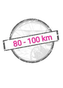 T4Y 80-100km